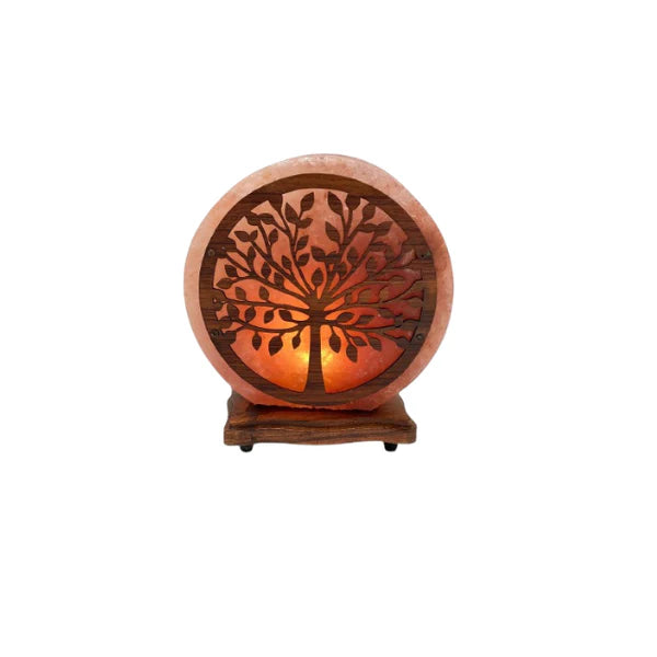 Tree Wood Craft Salt Lamp