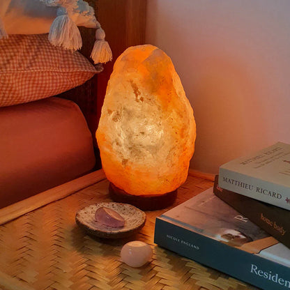 Himalayan Salt Lamp (2-3 kg)