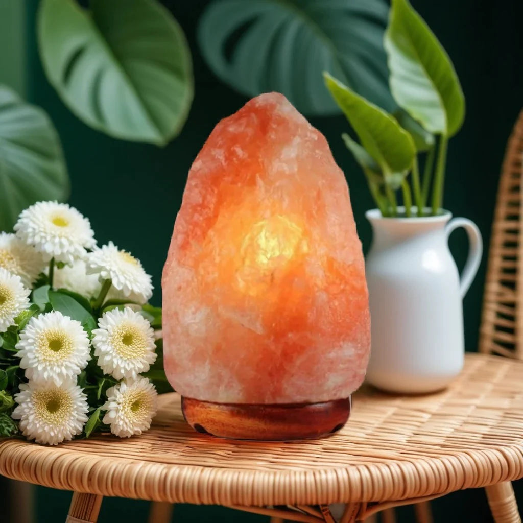 Himalayan Salt Lamp (9-12 kg)