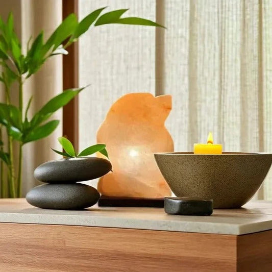 Dolphin Himalayan Salt Lamp